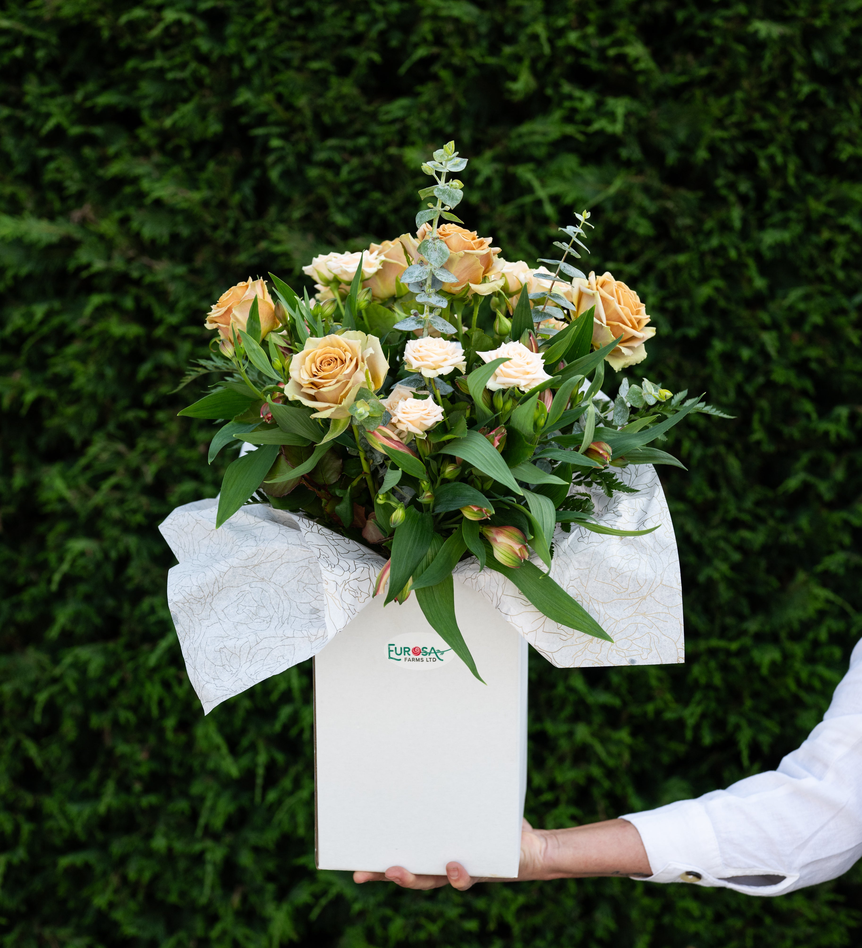Bouquet of flowers in a box held against a green hedge