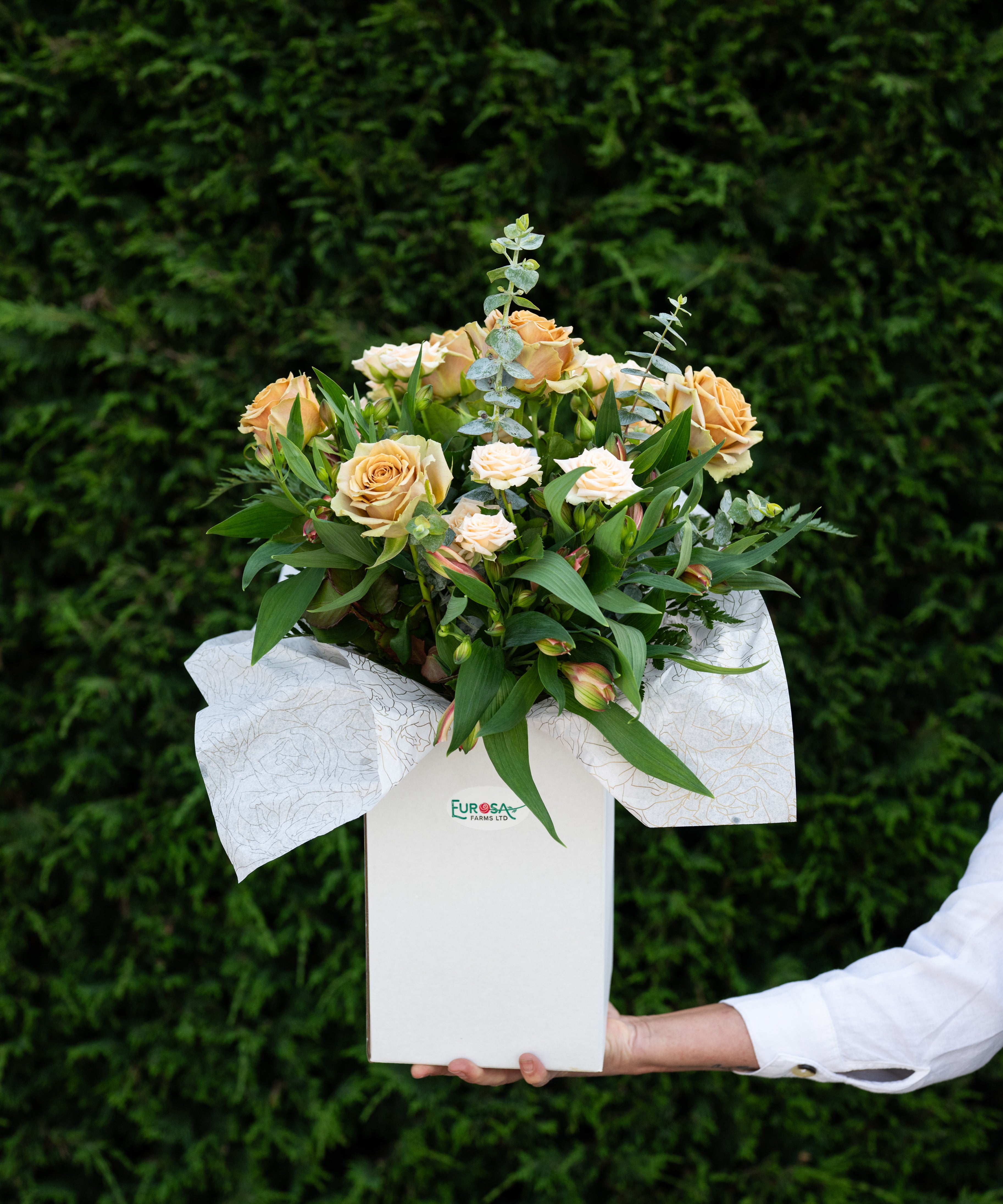 Bouquet of flowers in a box held against a green hedge