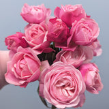 Silva pink Rose Spray