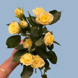 Wedding Invite