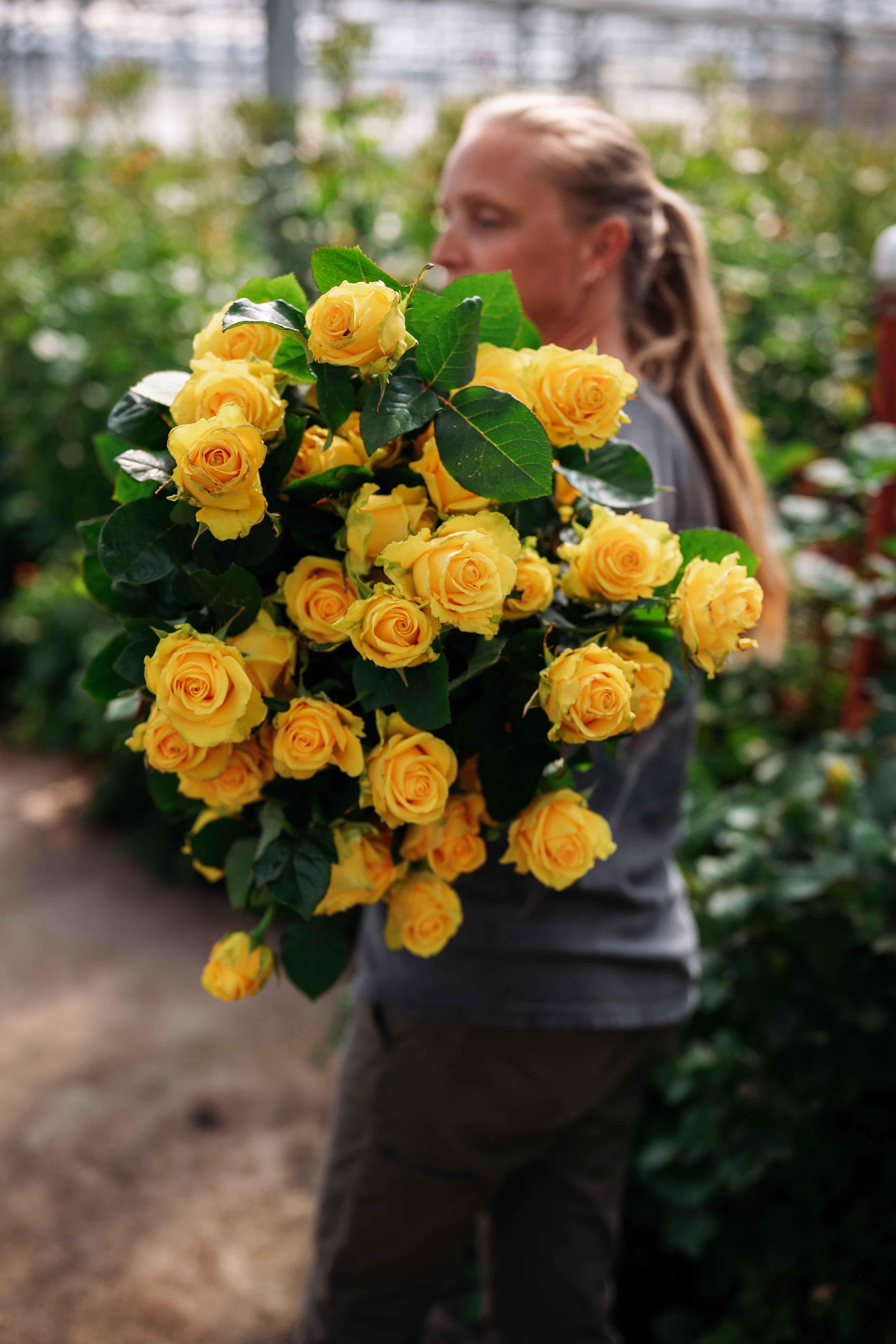 Eurosa Fresh Arrangements