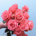 Barbados Rose Spray Pink