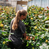 Farm Tour at Eurosa