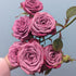 Purple Queen Rose Spray