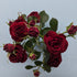 Red Trendsetter Rose Spray